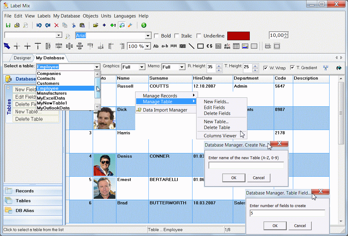 screenshot: Advanced database manager